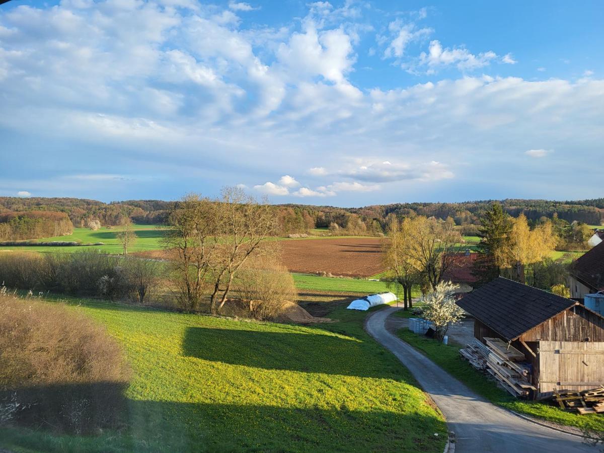 Pension Am Wald Goessweinstein Buitenkant foto